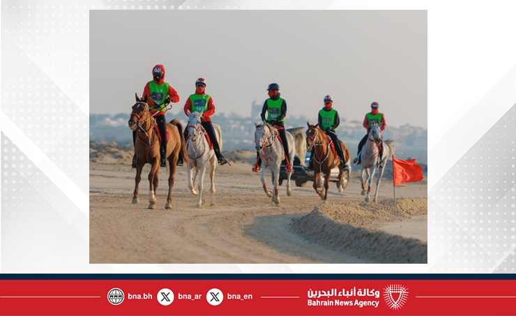 السبت.. إقامة السباق الرئيسي على كأس العيد الوطني .. مشاركة واسعة في السباقات الدولية والمحلية لبطولة العيد الوطني للقدرة